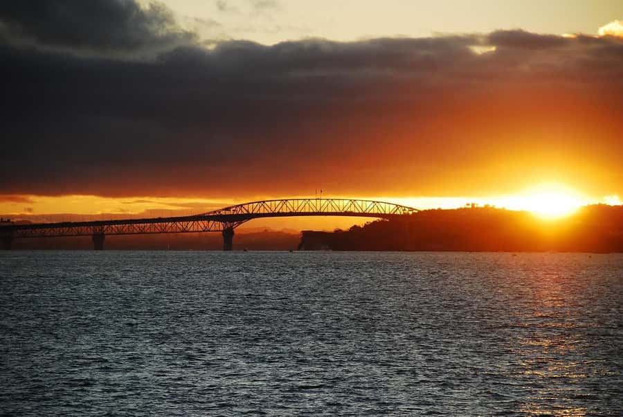 Auckland: Nightlights Harbour Cruise with Canapés and Drink - Auckland’s skyline from the harbour