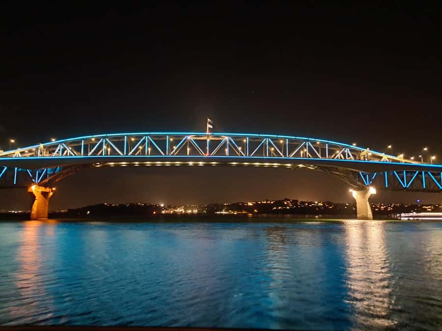 Auckland: Nightlights Harbour Cruise with Canapés and Drink - Is $38 a fair price?