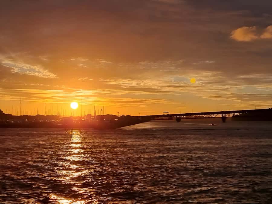 Auckland: Nightlights Harbour Cruise with Canapés and Drink - Booking advice and final verdict
