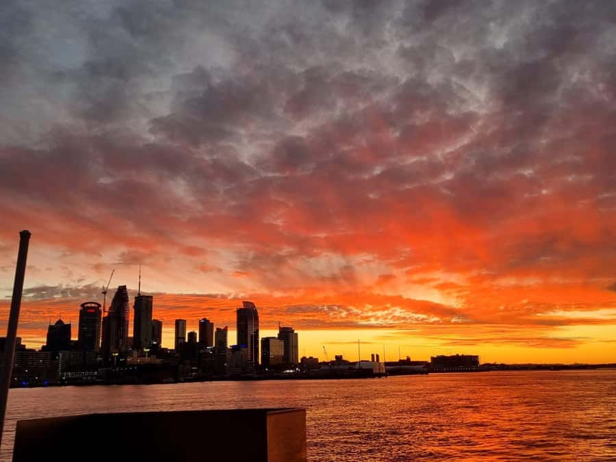 Auckland: Nightlights Harbour Cruise with Canapés and Drink - Under the Harbour Bridge and past the Viaduct