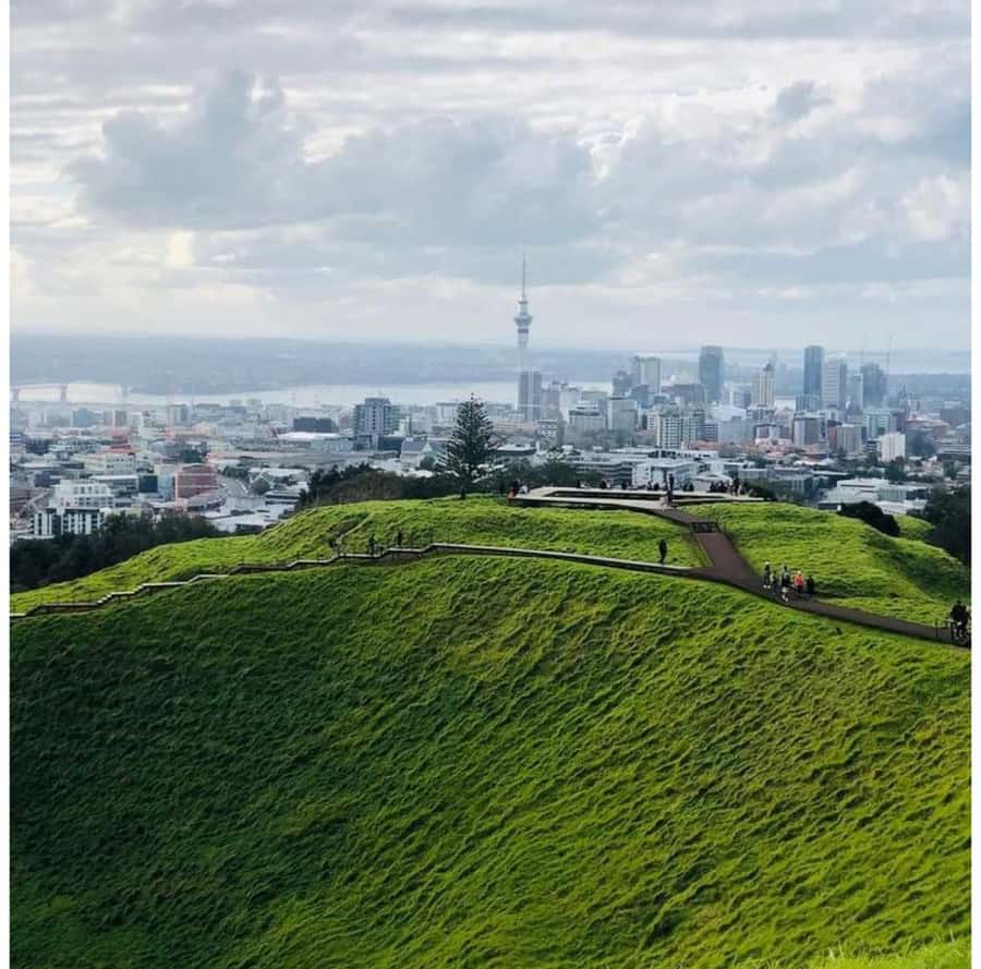 Auckland: Piha Beach, Rainforest, & Mount Eden Private Tour - Key points at a glance