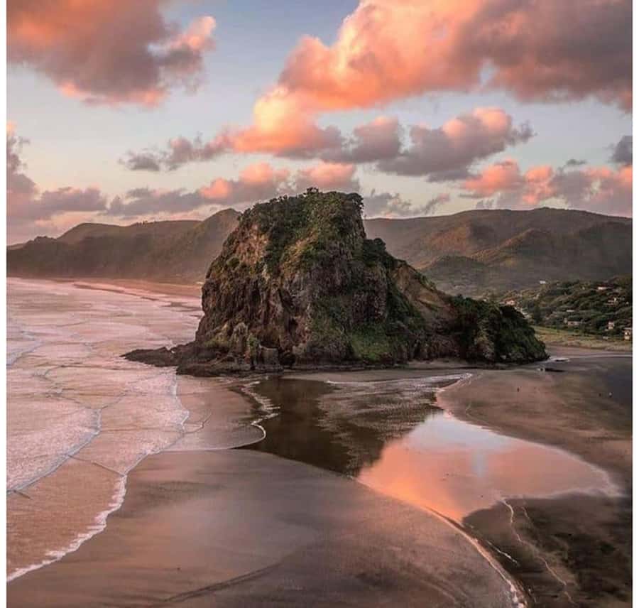 Auckland: Piha Beach, Rainforest, & Mount Eden Private Tour - From Auckland streets to the Waitākere Ranges