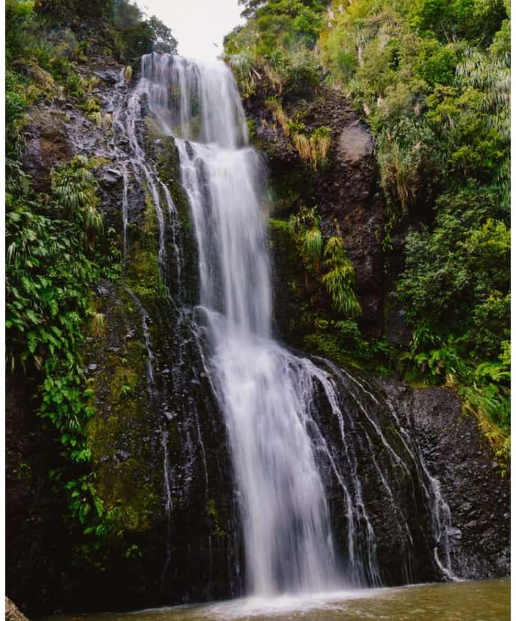 Auckland: Piha Beach, Rainforest, & Mount Eden Private Tour - What the $262 price means