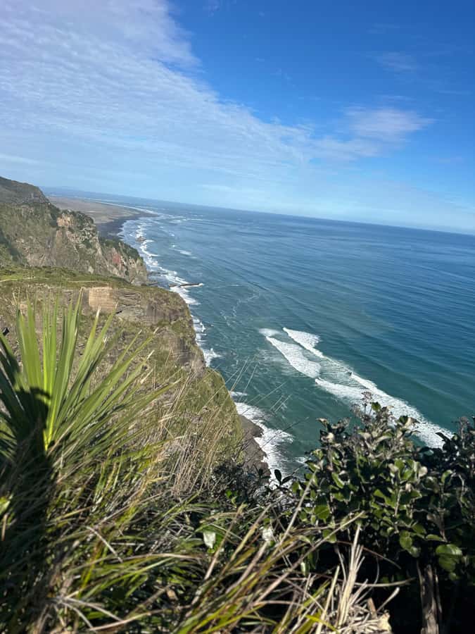 Auckland: Piha Beach, Rainforest, & Mount Eden Private Tour - Practical details before you book