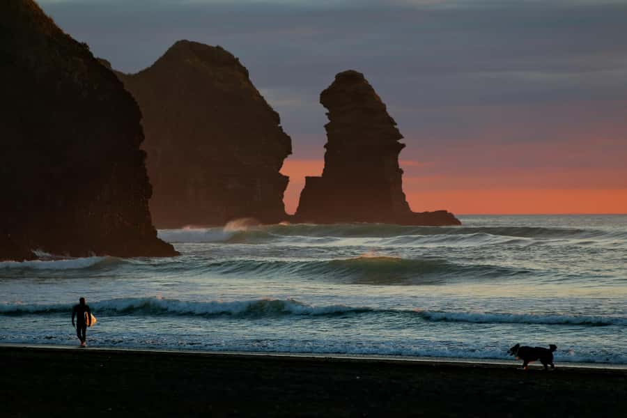 Auckland Private Tour: West Coast Wilderness & Piha Beach - Why Auckland’s west coast is worth a full day