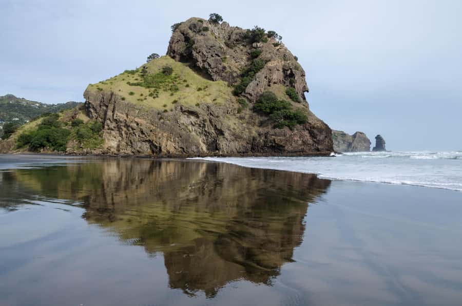 Auckland Private Tour: West Coast Wilderness & Piha Beach - Starting with Arataki Visitor Centre
