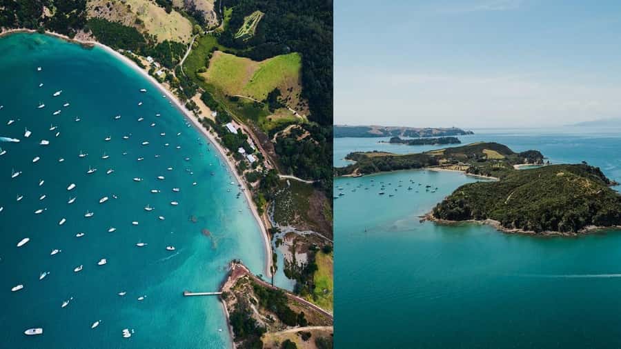 Auckland: Rotoroa Island and Man O'War Vineyard Combo Tour - At a glance: what this day delivers