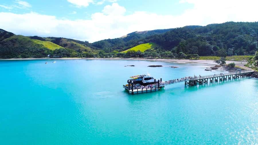 Auckland: Rotoroa Island and Man O'War Vineyard Combo Tour - Timing, packing, and practical choices