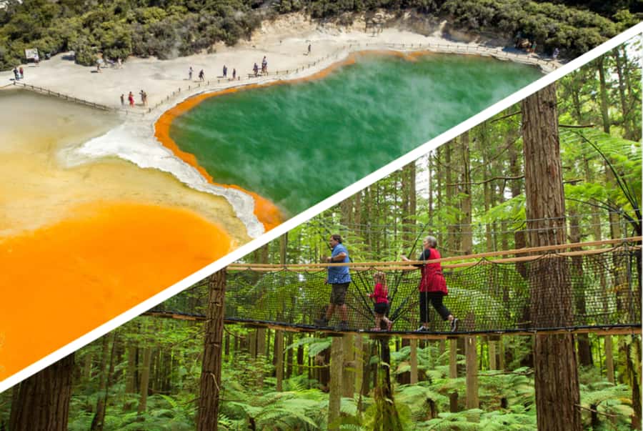 Auckland: Rotorua Highlights w WaiOTapu & Redwoods Treewalk - Key points to know before booking