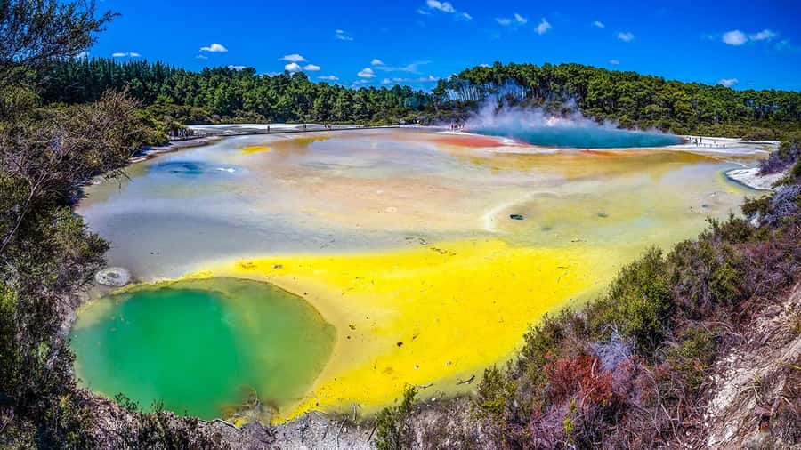 Auckland: Rotorua Highlights w WaiOTapu & Redwoods Treewalk - From Auckland to the broad Waikato countryside