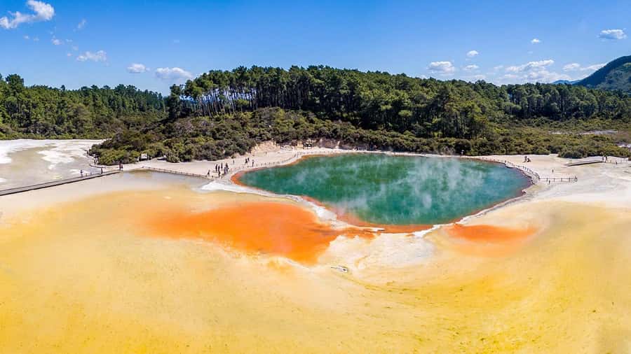 Auckland: Rotorua Highlights w WaiOTapu & Redwoods Treewalk - Walking above the redwoods in Whakarewarewa Forest