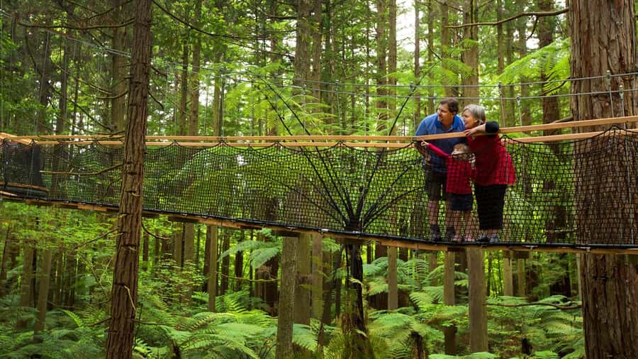 Auckland: Rotorua Highlights with Redwoods Treewalk & Spa - Should you book this Rotorua day trip?