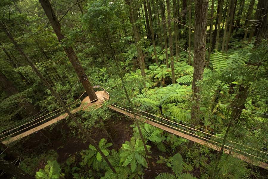 Auckland: Rotorua Highlights with Redwoods Treewalk & Spa - Tīrau provides a quick roadside laugh