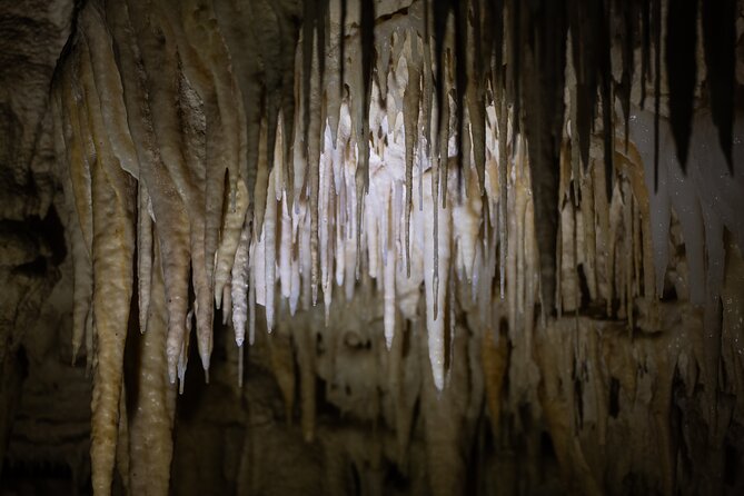 Auckland: Rotorua Māori Village, Waitomo Caves & Lunch - The long road to Waitomo