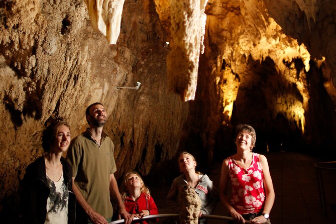 Auckland: Rotorua Māori Village, Waitomo Caves & Lunch - What the $257.54 price really buys