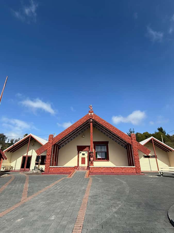 Auckland: Rotorua Māori Village & Waitomo Caves with Lunch - Songs, dances, and the haka