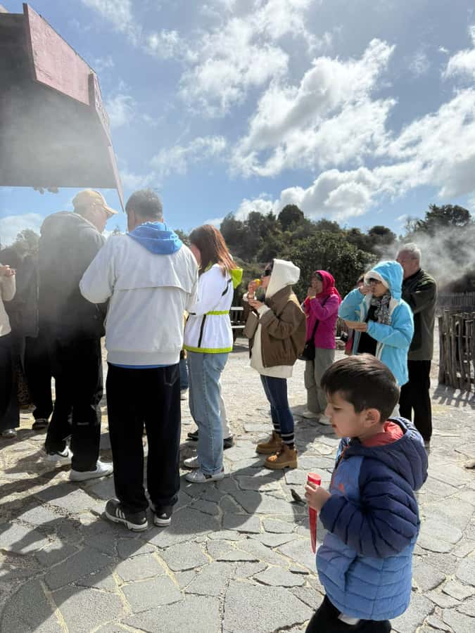 Auckland: Rotorua Māori Village & Waitomo Caves with Lunch - A picnic lunch between major stops