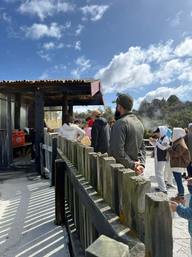 Auckland: Rotorua Māori Village & Waitomo Caves with Lunch - Is $248 a fair price?