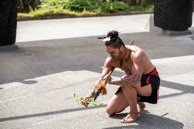 Auckland: Rotorua Te Puia with Haka & Polynesian Spa Small Group - Is the $245.13 price fair?