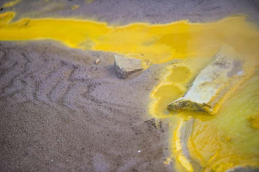 Auckland: Rotorua Tour with Mitai Māori Village & Wai-O-Tapu - Who should book this tour