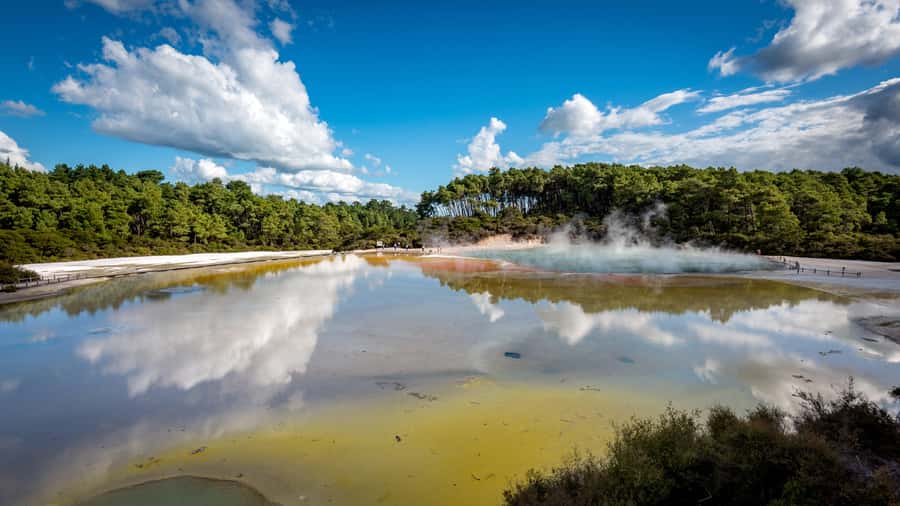 Auckland: Rotorua Wai-O-Tapu, Te Puia with Haka - Lady Knox Geyser starts the geothermal story