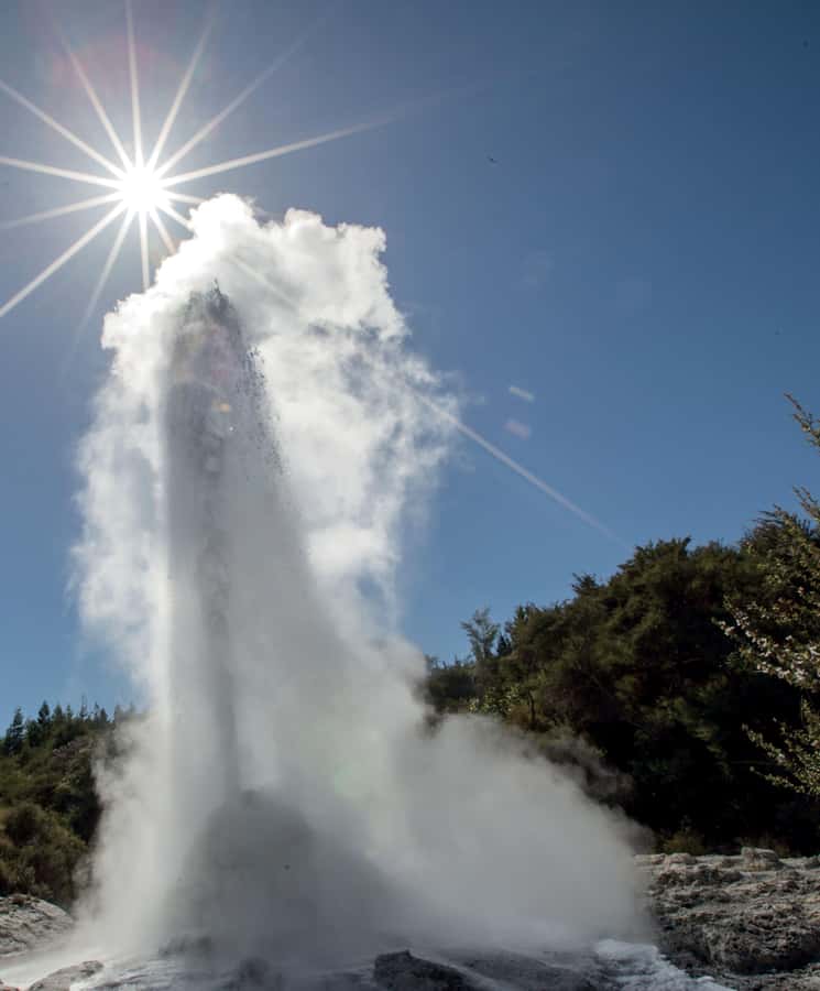 Auckland: Rotorua Wai-O-Tapu, Te Puia with Haka - How the timing affects your experience