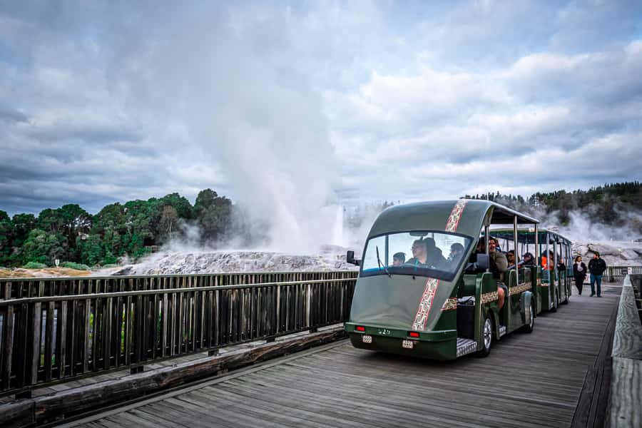 Auckland: Rotorua Wai-O-Tapu, Te Puia with Haka - Who should book this Rotorua tour?