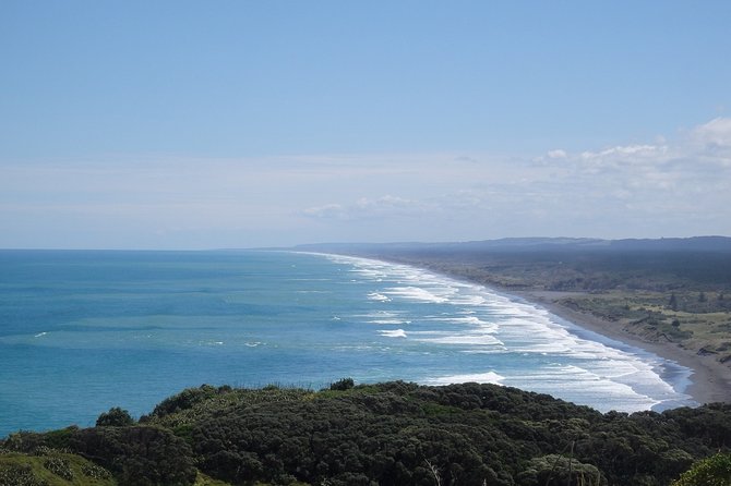 Auckland Scenic Day Tour Full-Day- 8 HOURS - Auckland Domain and the Wintergardens