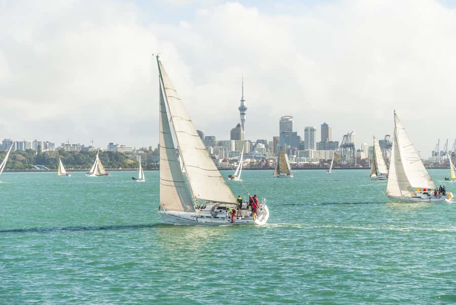Auckland Scenic Half-Day City Sightseeing Tour - A useful first look at Auckland beyond the CBD