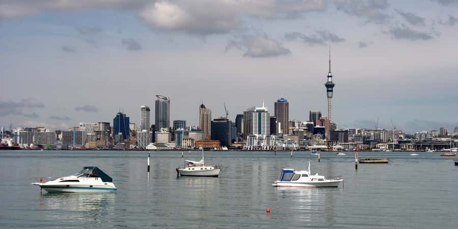 Auckland Scenic Half-Day City Sightseeing Tour - Starting beside the Ferry Building at 99 Quay Street