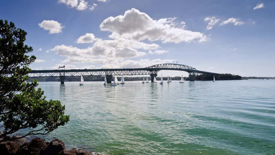 Auckland Scenic Half-Day City Sightseeing Tour - Ponsonby, K Road, and the city’s changing character
