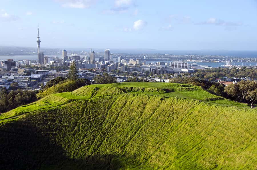 Auckland Scenic Half-Day City Sightseeing Tour - Westhaven Marina and Auckland’s working waterfront