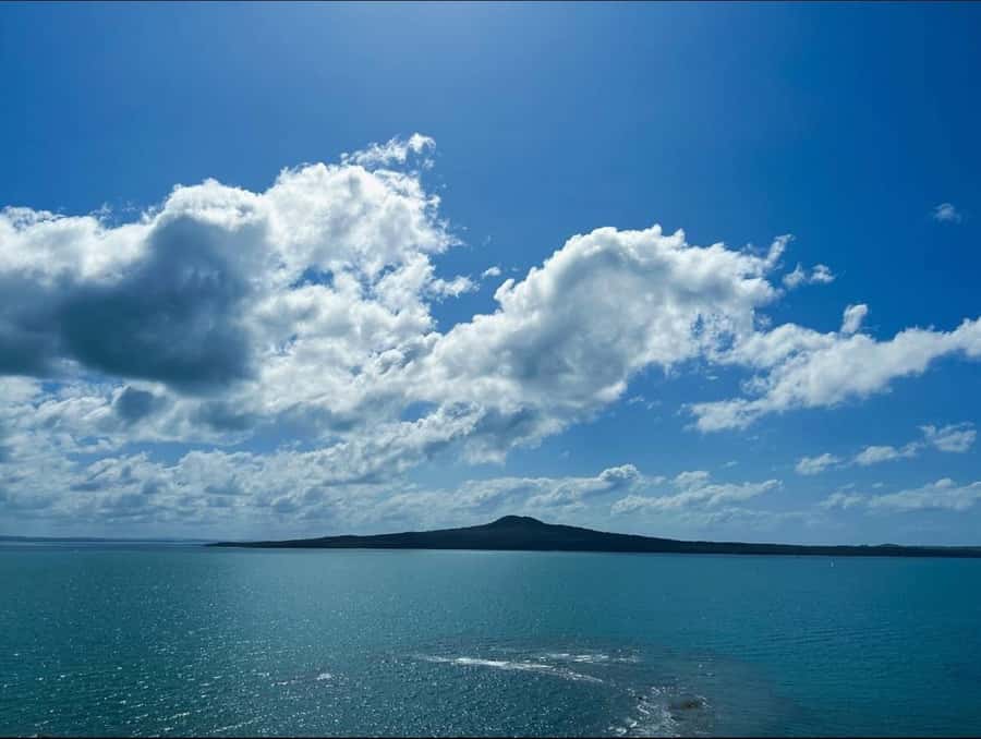 Auckland: Scenic Harbour Cruise with Live Commentary - Indoor and outdoor viewing areas