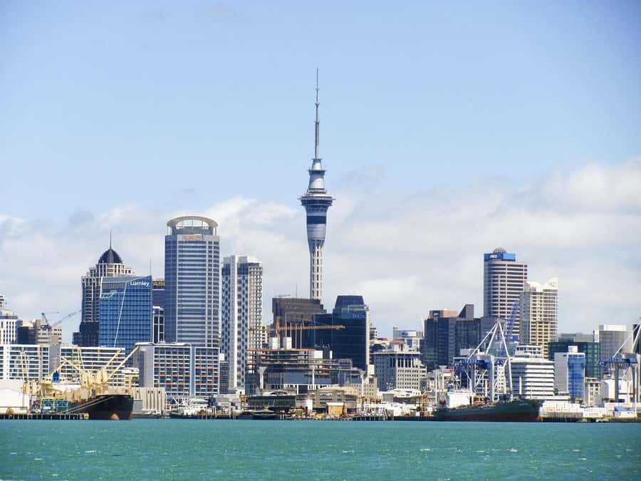 Auckland: Scenic Wine and Cheese Harbour Cruise - Key points to know before you book