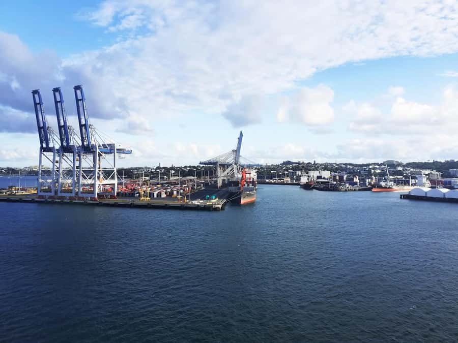 Auckland: Scenic Wine and Cheese Harbour Cruise - Commentary, music, and the onboard mood