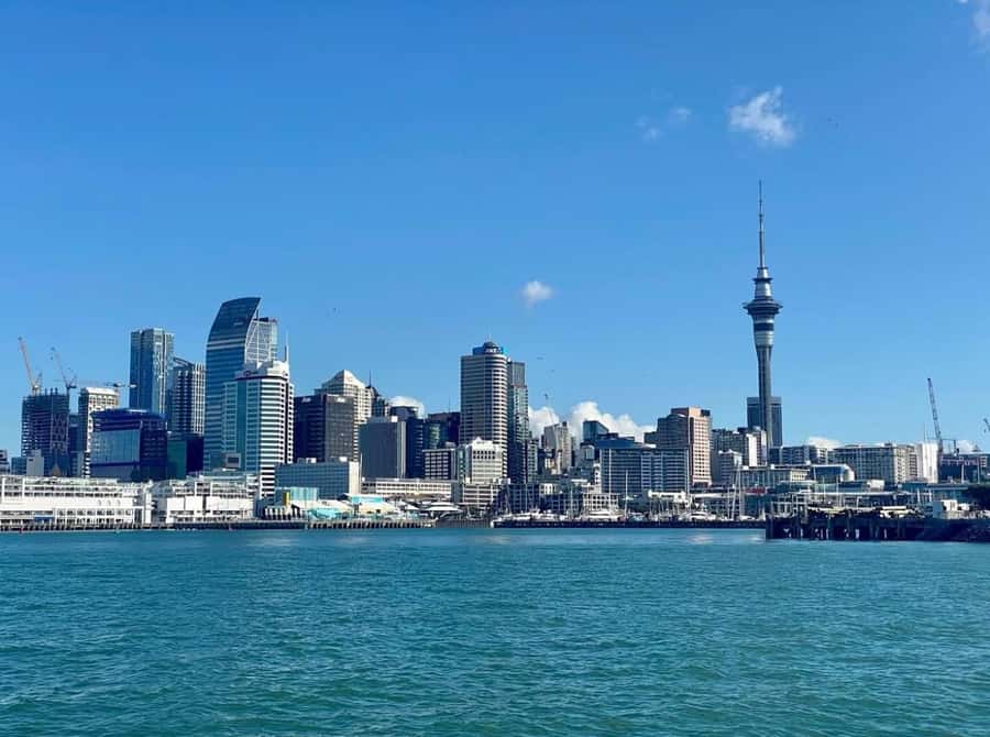 Auckland: Scenic Wine and Cheese Harbour Cruise - Is $33 good value?