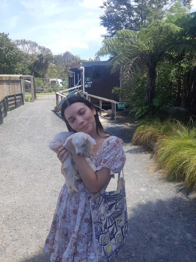 Auckland: Sheepworld, Honey Centre, & Kauri Trail Tour - Honey Centre: tasting Manuka and watching bees