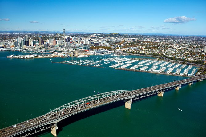Auckland Shore Excursion: Half-Day Guided City Tour - A useful first look at Auckland