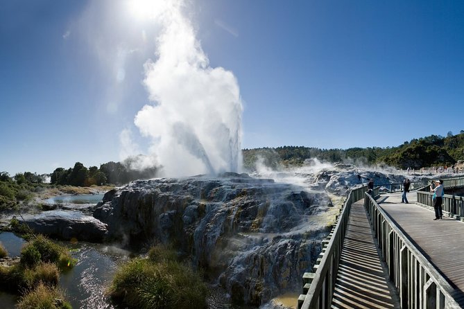 Auckland Sights Exclusive 8 Hour Luxury Day Tour - How much flexibility do you really get?