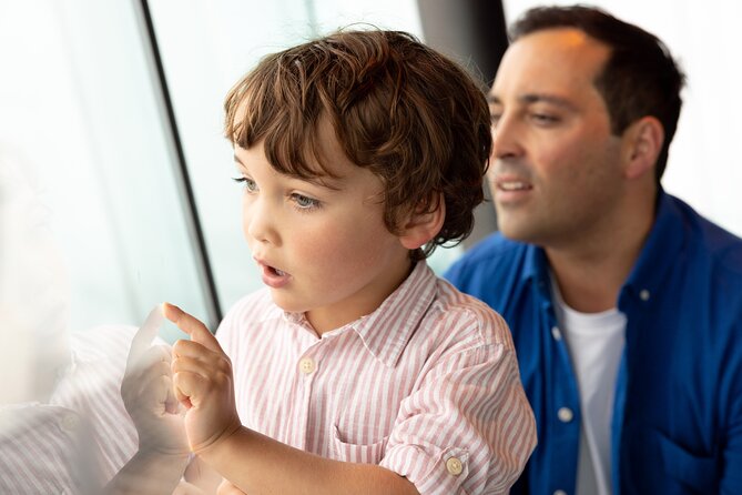 Auckland Sky Tower General Admission Ticket - SkyWalk, SkyJump, and other extras