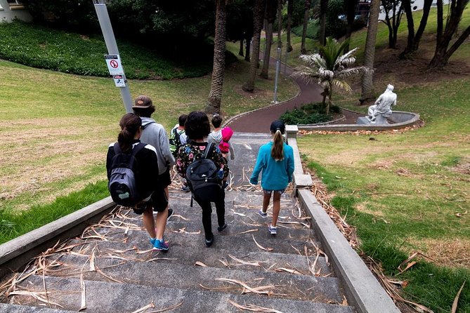 Auckland Small-Group Walking Tour with Treats - Why this walk works as an Auckland introduction