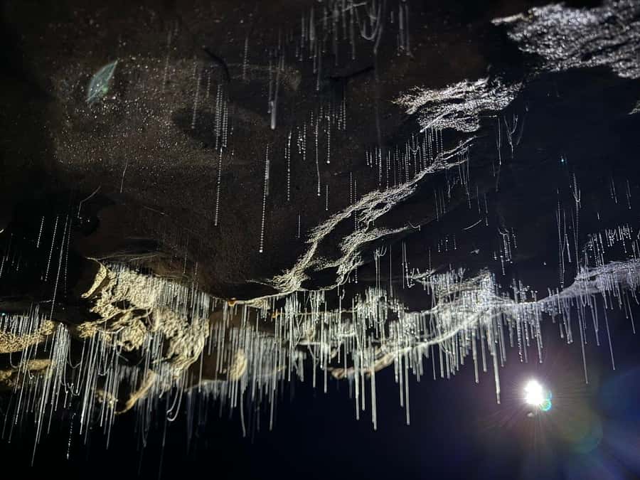 Auckland: Spellbound Glowworm Caves Explorer Tour - Key points to know before booking