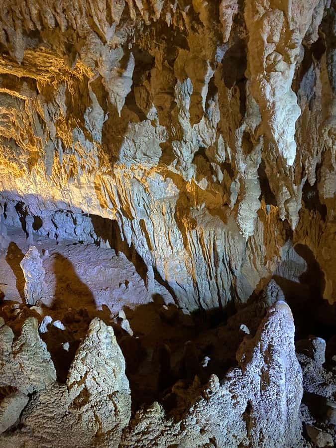 Auckland: Spellbound Glowworm Caves Explorer Tour - Why the glowworm grotto is worth the long ride