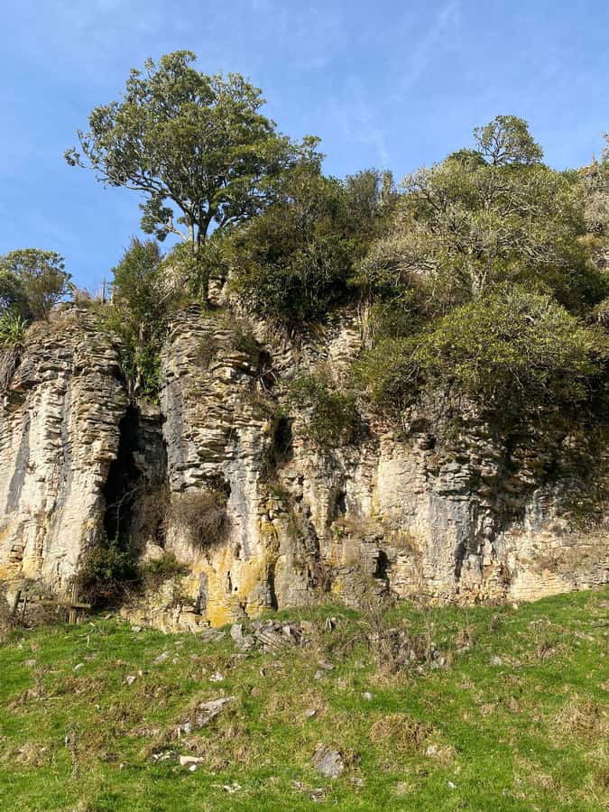 Auckland: Spellbound Glowworm Caves Explorer Tour - The Otorohanga stop and lunch decision