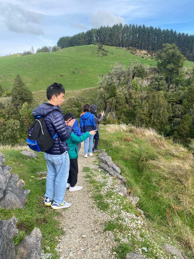 Auckland: Spellbound Glowworm Caves Explorer Tour - Is $194 a fair price?