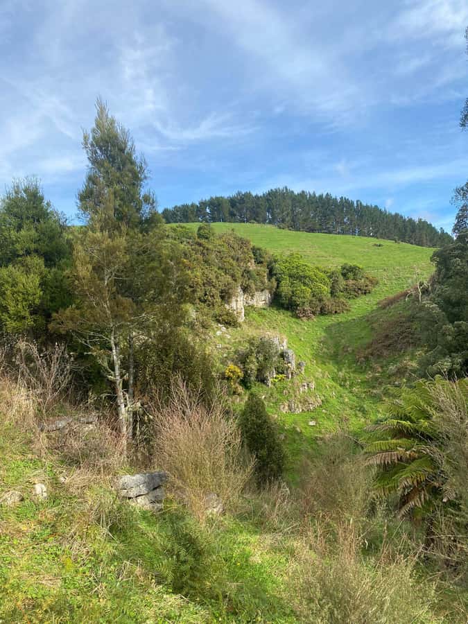 Auckland: Spellbound Glowworm Caves Explorer Tour - Practical advice for a smoother day