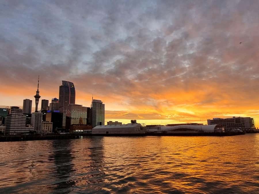 Auckland Sunset Harbour Cruise - Key points to know before boarding