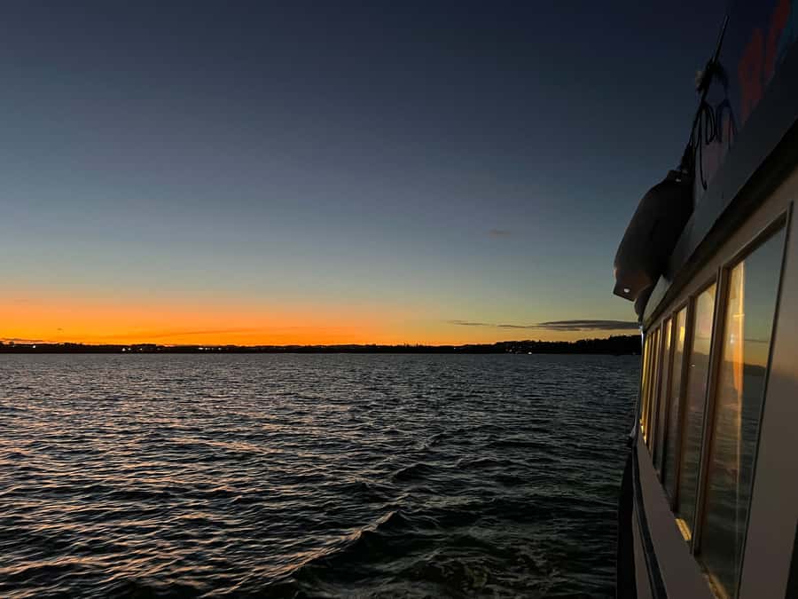 Auckland Sunset Harbour Cruise - Value, timing, and practical trade-offs