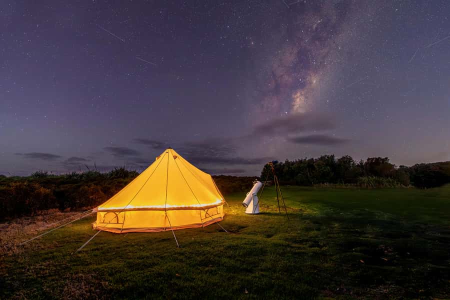Auckland (Tawharanui): Wild Kiwi Bird Spotting Encounter - Stars, planets, and Māori sky stories