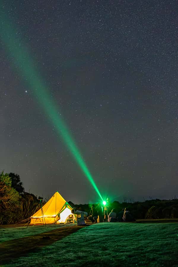 Auckland (Tawharanui): Wild Kiwi Bird Spotting Encounter - The optional glamping stay